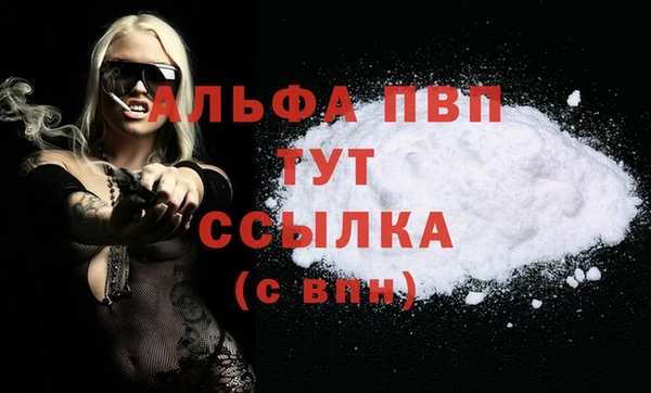 СК Вяземский